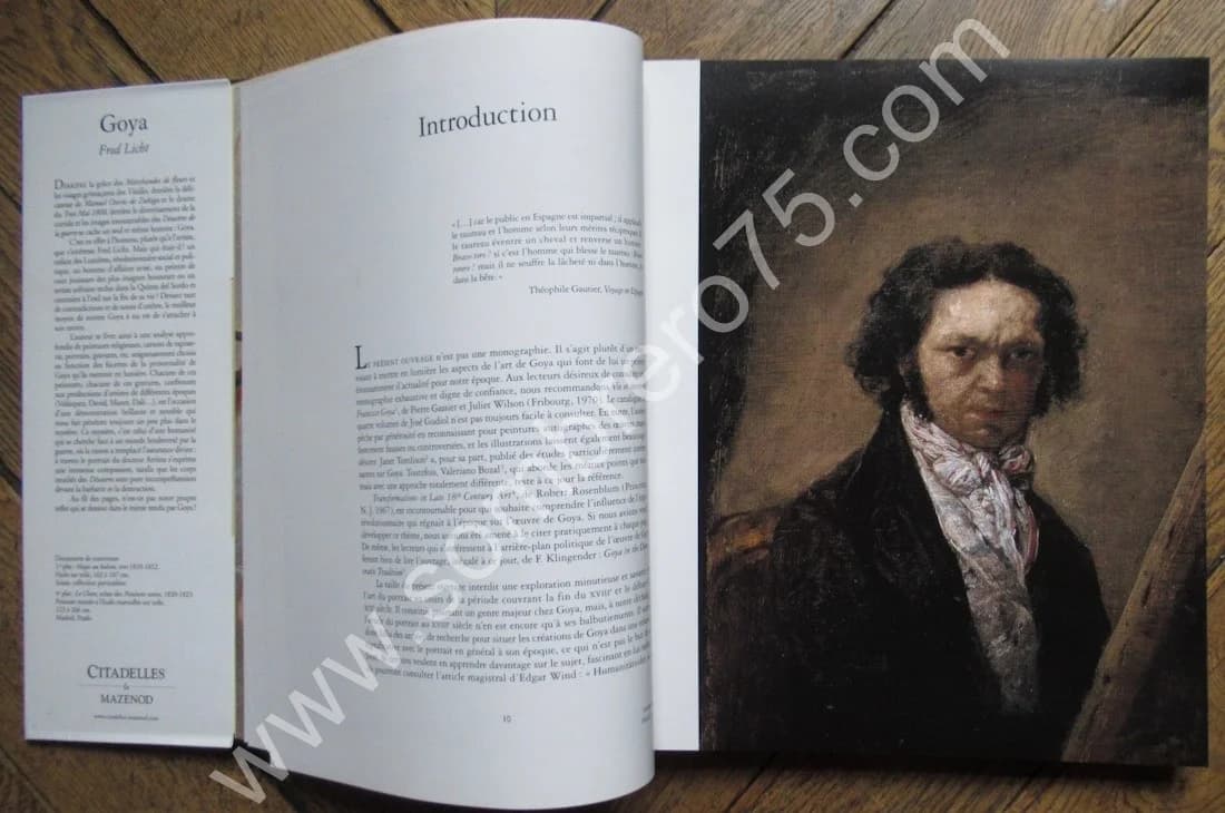 GOYA.. Citadelles - Image 7