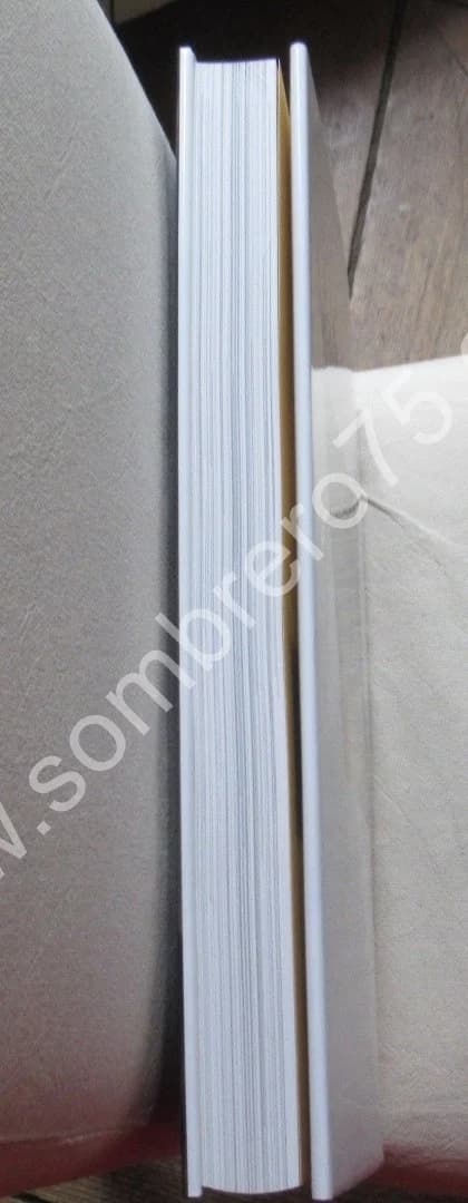 REMBRANDT.. Citadelles & Mazenod - Image 10