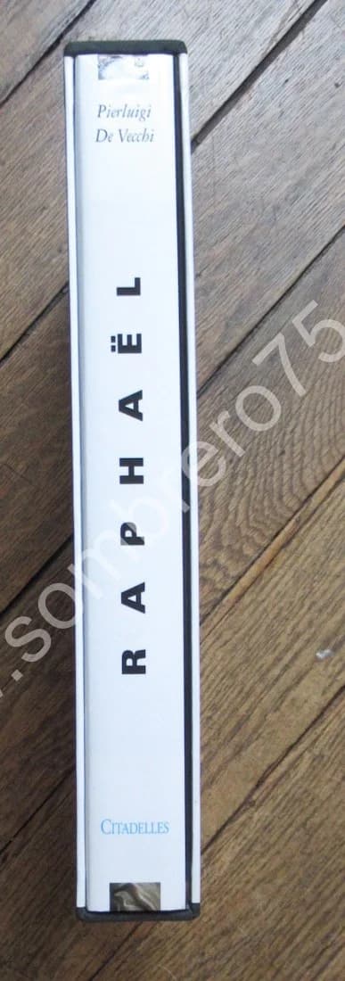 RAPHAËL. Pierluigi de VECCHI. Citadelles & Mazenod - Image 2