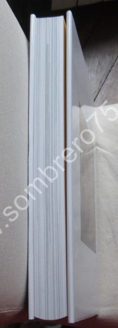 RAPHAËL. Pierluigi de VECCHI. Citadelles & Mazenod - Image 11