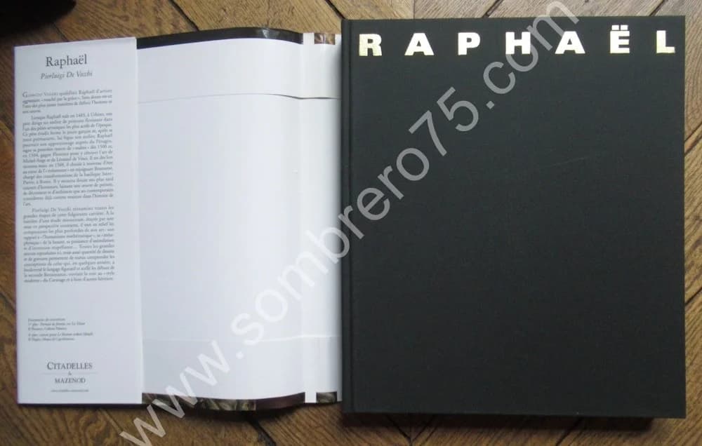 RAPHAËL. Pierluigi de VECCHI. Citadelles & Mazenod - Image 4