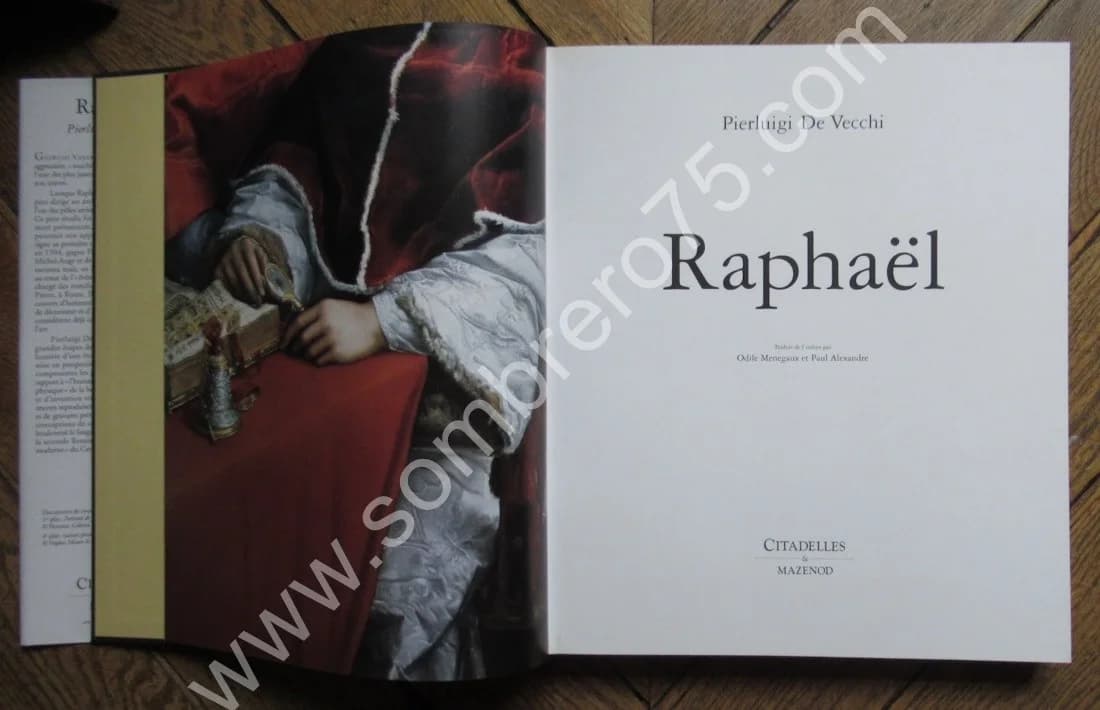 RAPHAËL. Pierluigi de VECCHI. Citadelles & Mazenod - Image 5