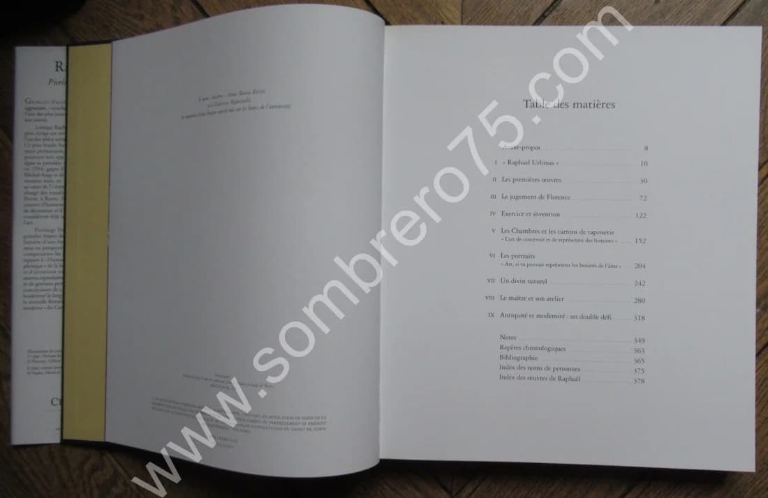 RAPHAËL. Pierluigi de VECCHI. Citadelles & Mazenod - Image 6