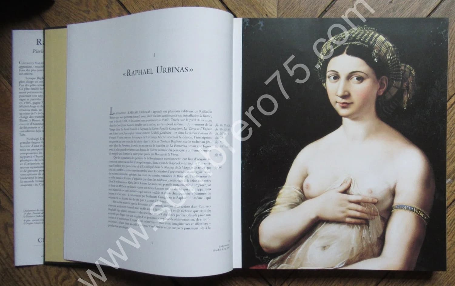 RAPHAËL. Pierluigi de VECCHI. Citadelles & Mazenod - Image 7