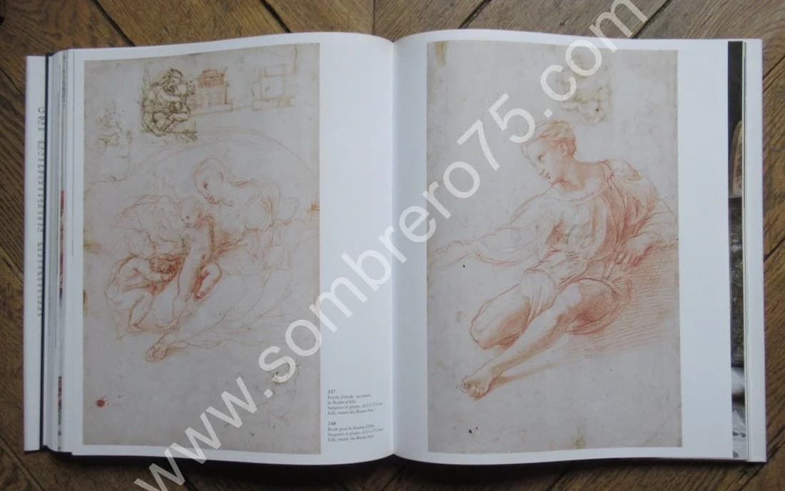 RAPHAËL. Pierluigi de VECCHI. Citadelles & Mazenod - Image 8