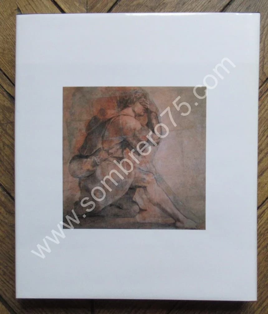 RAPHAËL. Pierluigi de VECCHI. Citadelles & Mazenod - Image 9