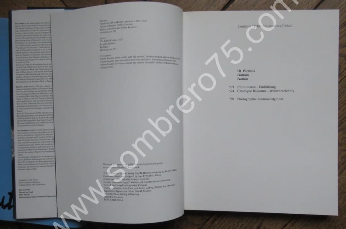 SOUTINE. Catalogue Raisonné - 2 Tomes sous étuis - Image 13