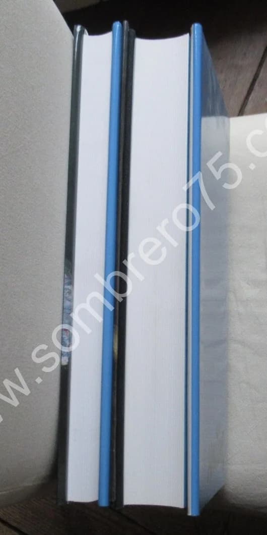 SOUTINE. Catalogue Raisonné - 2 Tomes sous étuis - Image 16