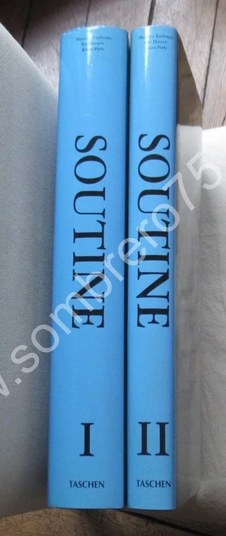 SOUTINE. Catalogue Raisonné - 2 Tomes sous étuis - Image 4