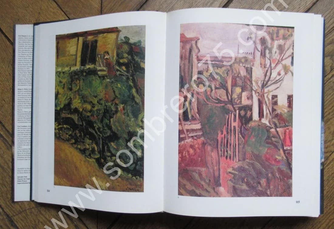 SOUTINE. Catalogue Raisonné - 2 Tomes sous étuis - Image 9