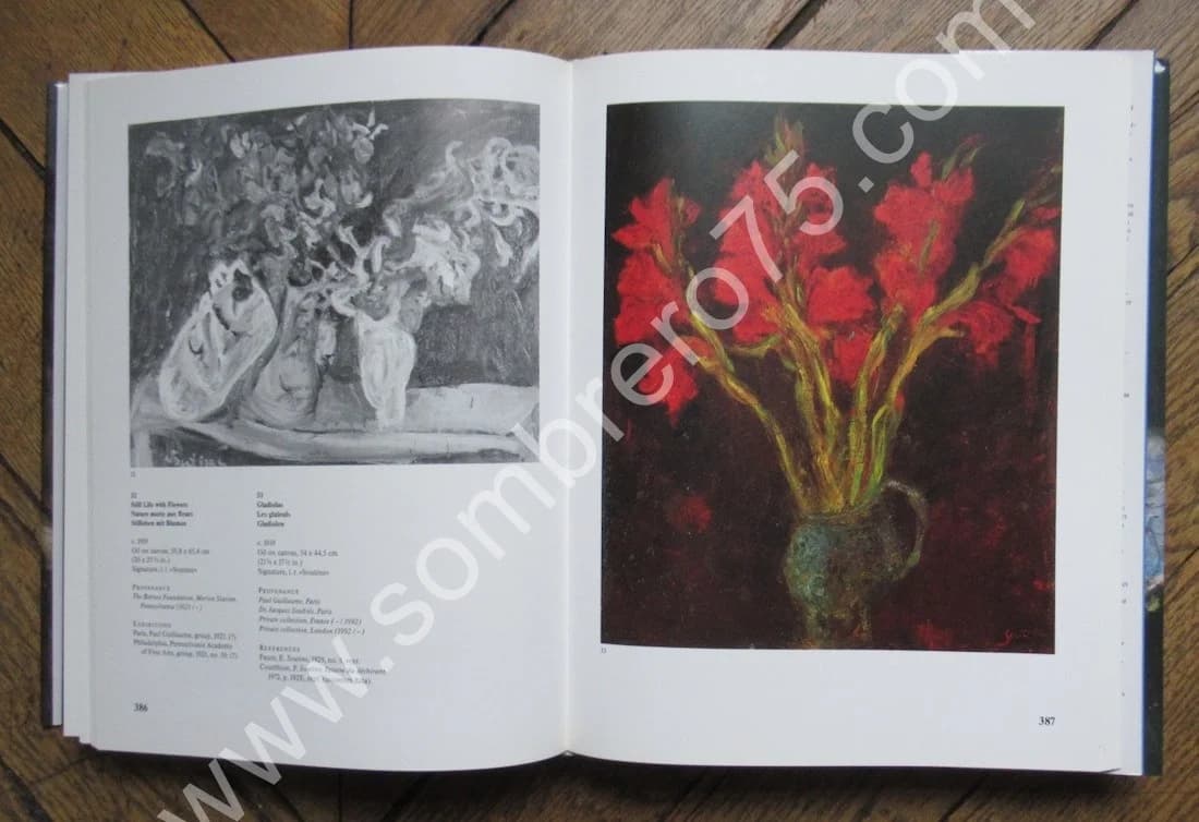 SOUTINE. Catalogue Raisonné - 2 Tomes sous étuis - Image 10