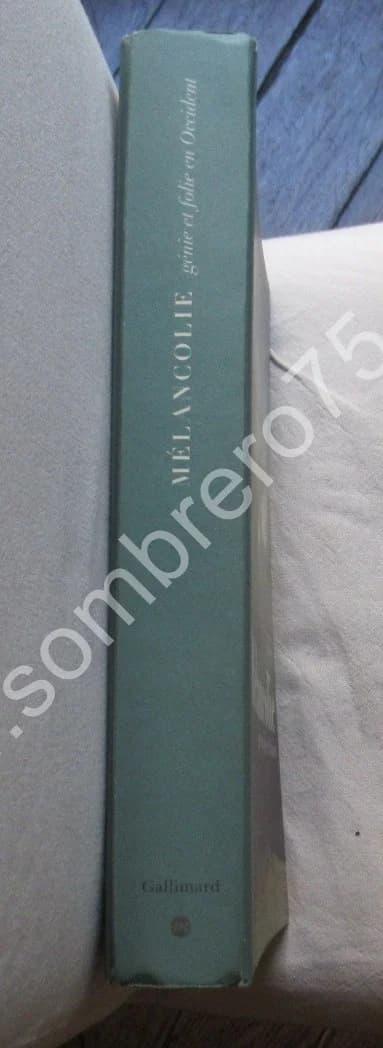 Mélancolie Génie et Folie en Occident. Jean CLAIR - Image 2