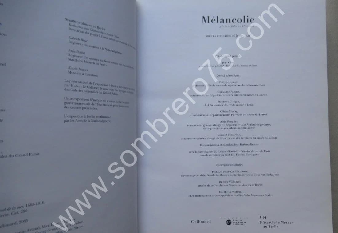 Mélancolie Génie et Folie en Occident. Jean CLAIR - Image 4