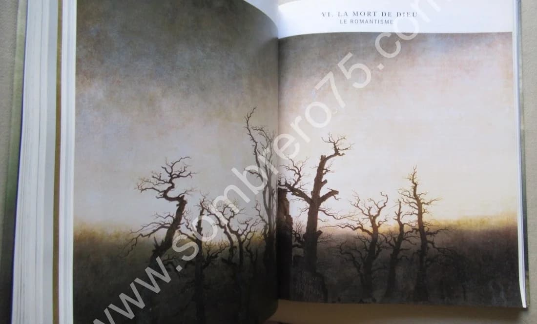 Mélancolie Génie et Folie en Occident. Jean CLAIR - Image 5