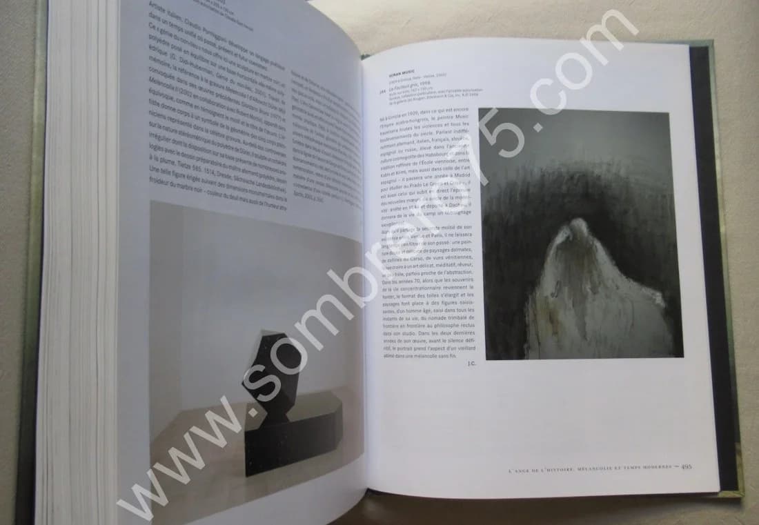 Mélancolie Génie et Folie en Occident. Jean CLAIR - Image 7