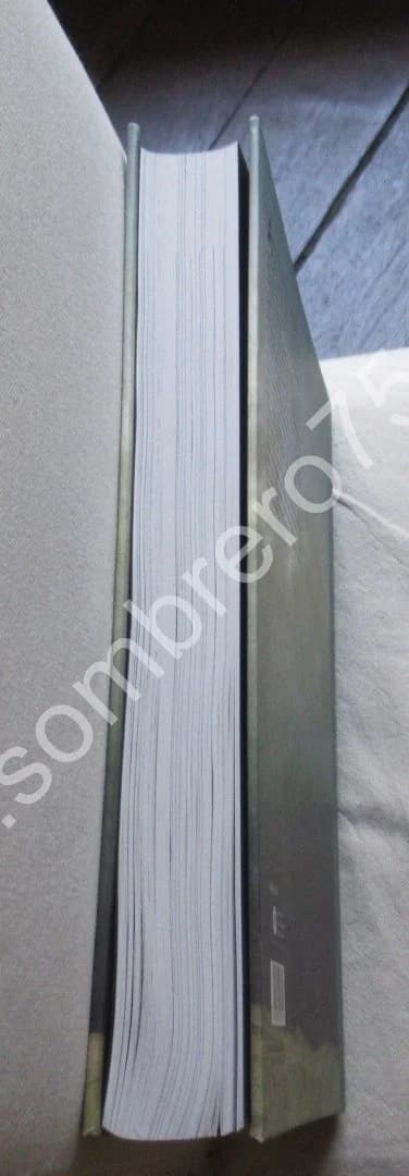 Mélancolie Génie et Folie en Occident. Jean CLAIR - Image 9