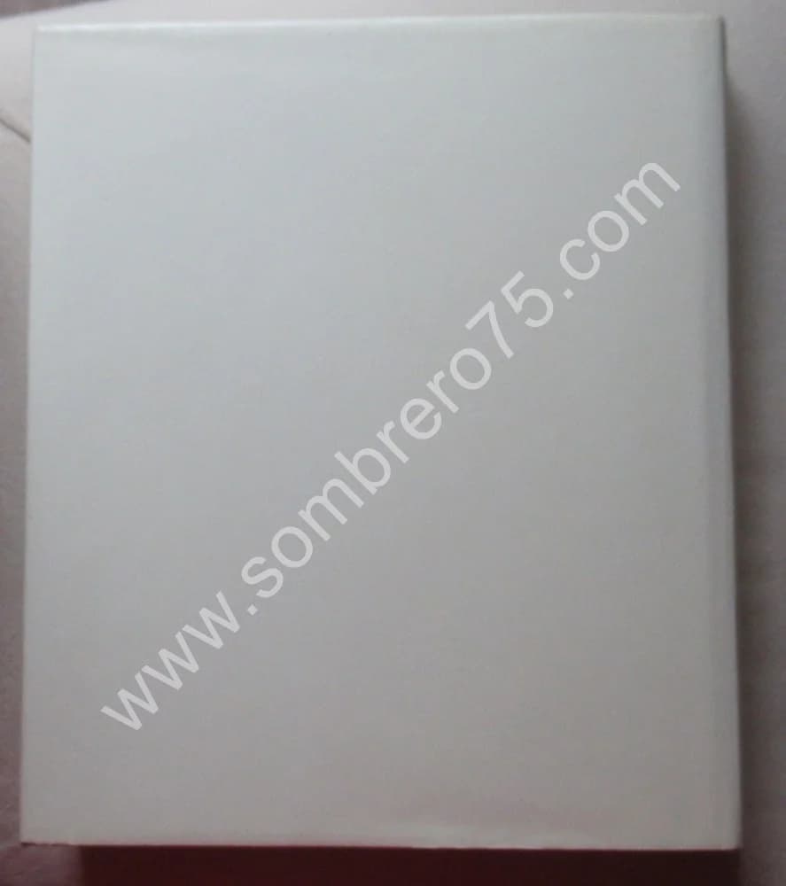 Picabia. Maria Lluisa Borras - Image 11