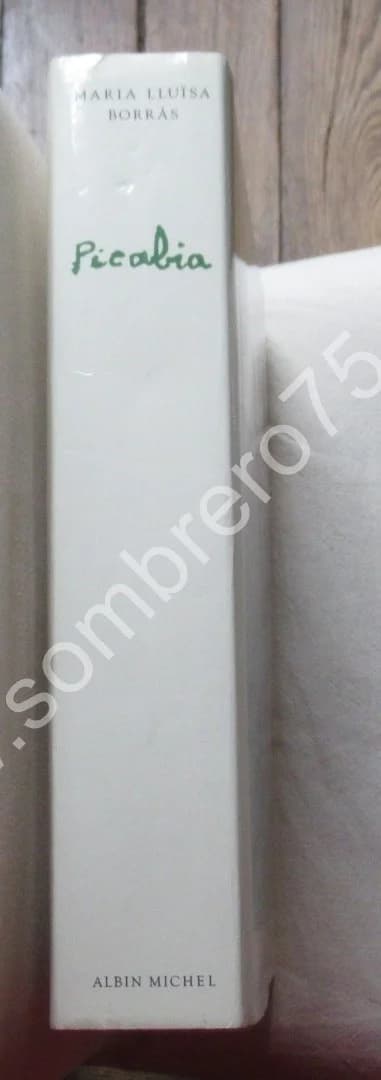 Picabia. Maria Lluisa Borras - Image 4