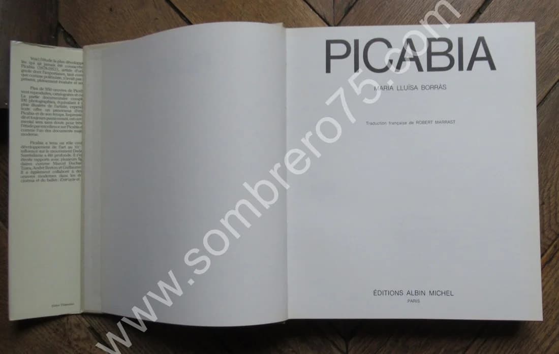 Picabia. Maria Lluisa Borras - Image 5