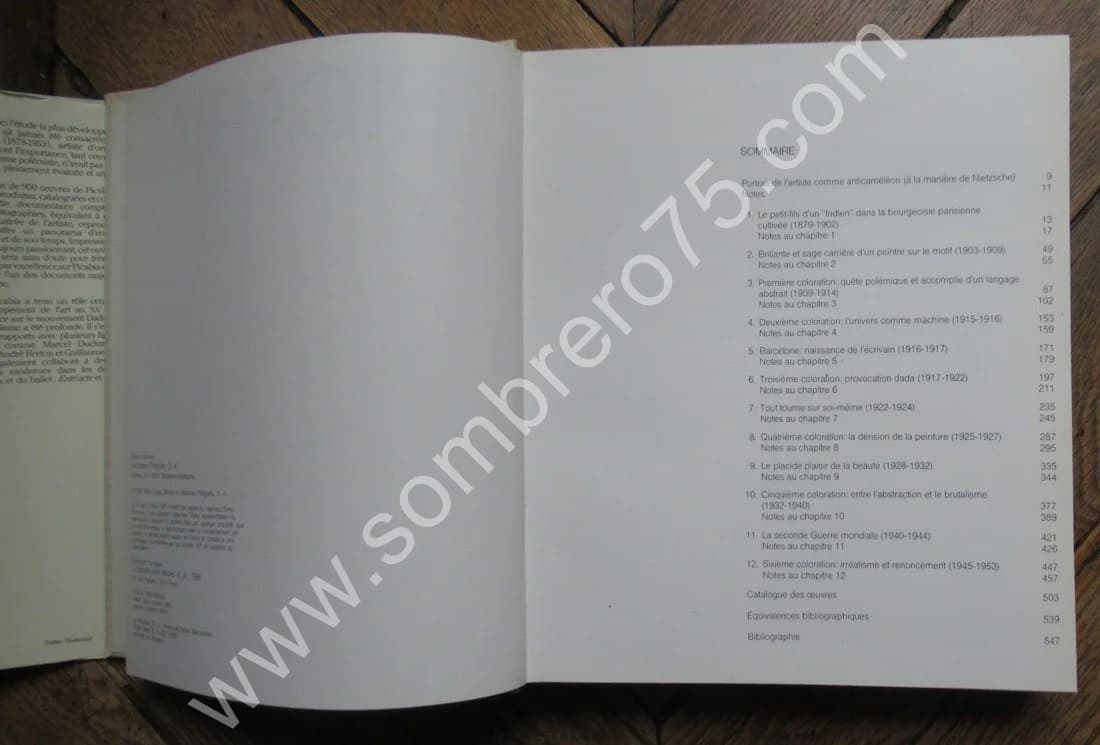 Picabia. Maria Lluisa Borras - Image 6