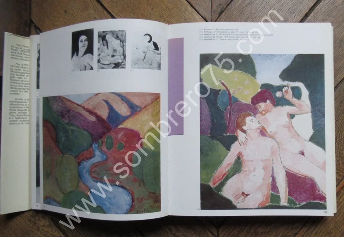 Picabia. Maria Lluisa Borras - Image 7