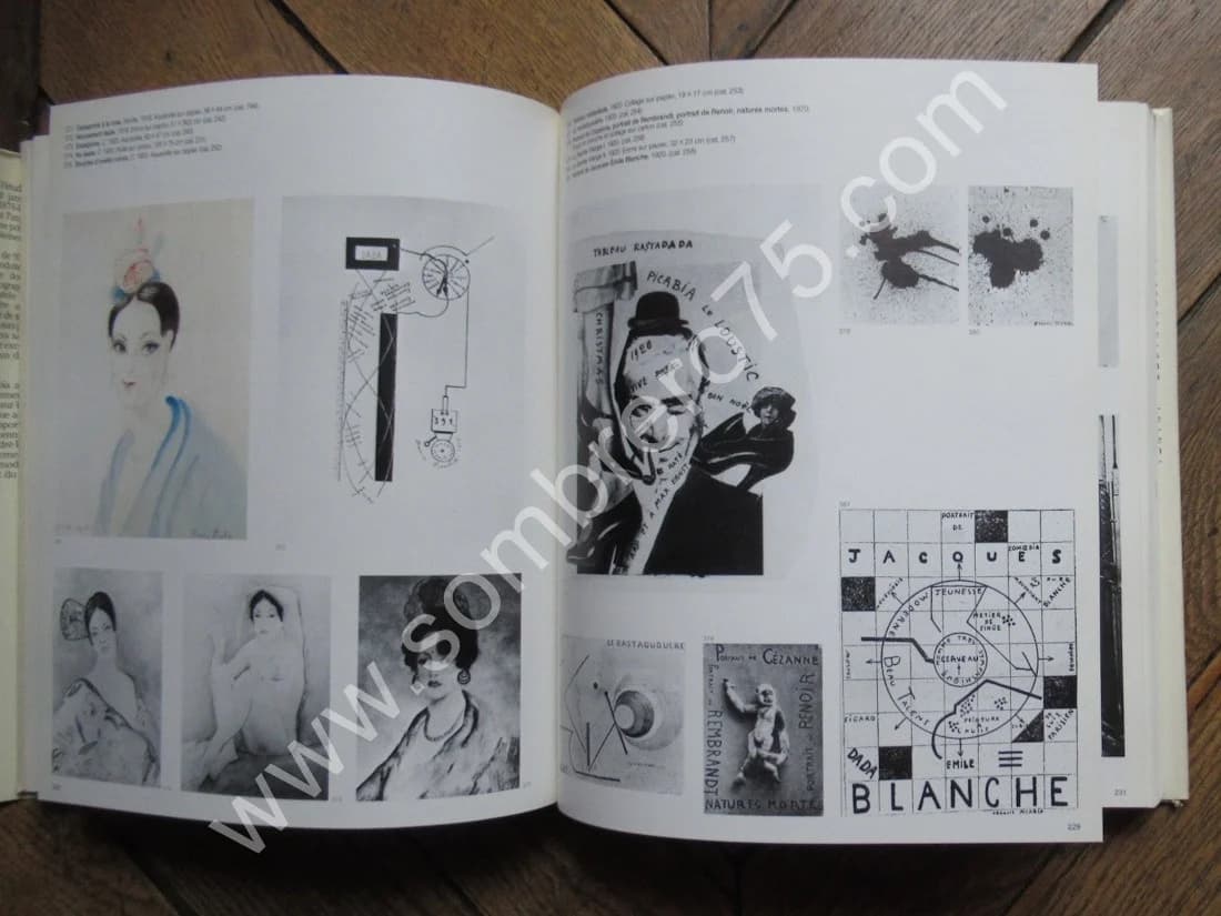 Picabia. Maria Lluisa Borras - Image 8