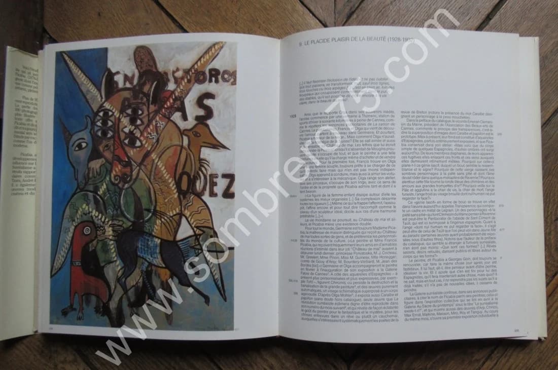 Picabia. Maria Lluisa Borras - Image 9