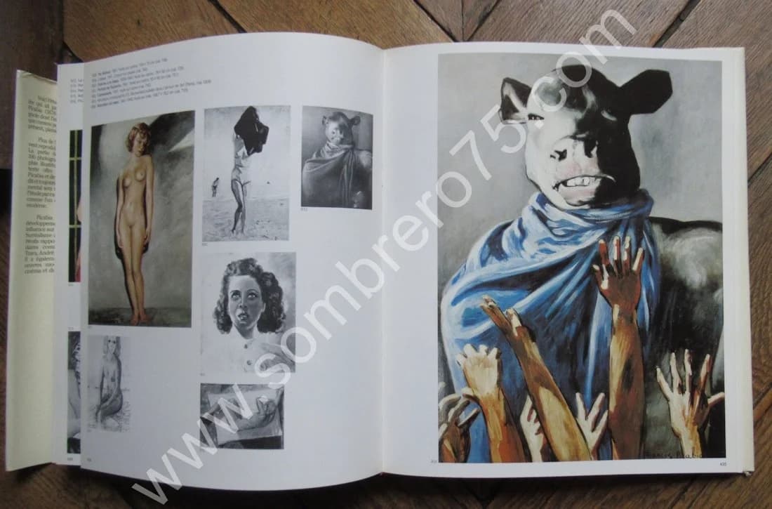 Picabia. Maria Lluisa Borras - Image 10