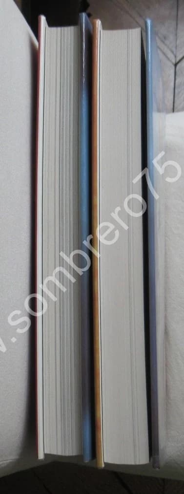 Statuaire Médiévale de Collection - 2 Tomes - Image 10