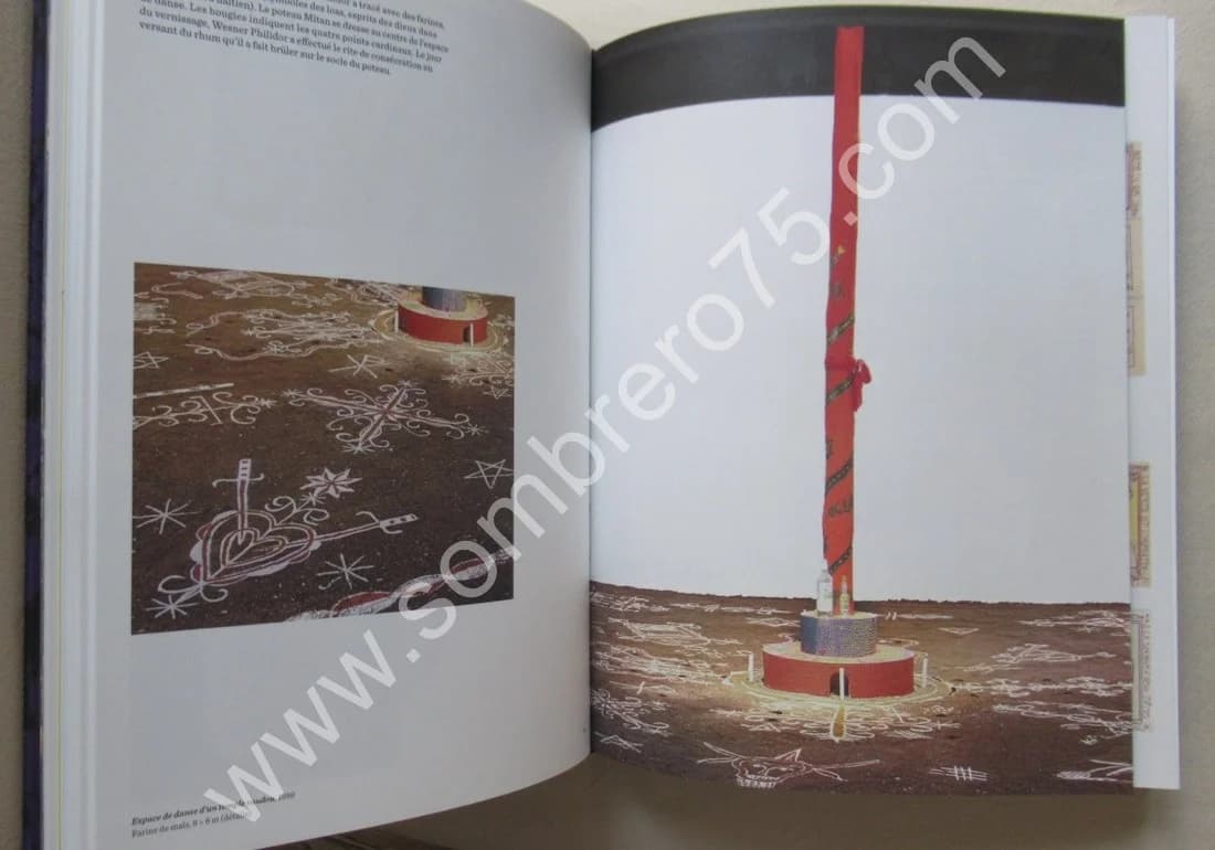 Magiciens de la Terre - Retour Sur l'Exposition de 1989 - Image 5