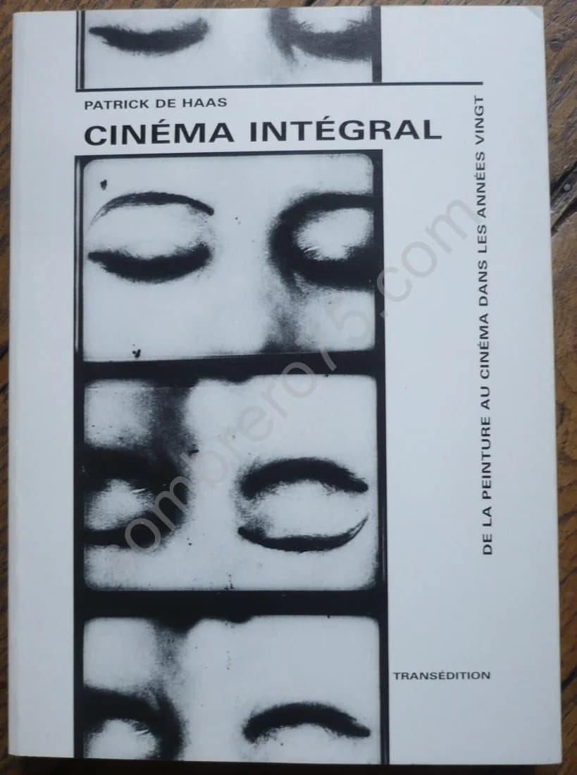 Cinéma Intégral - De la Peinture au Cinéma dans les Années Vingt. Patrick De Haas. Hugnet