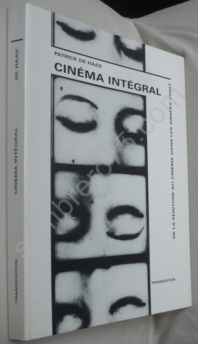 Cinéma Intégral - De la Peinture au Cinéma dans les Années Vingt. Patrick De Haas. Hugnet - Image 2