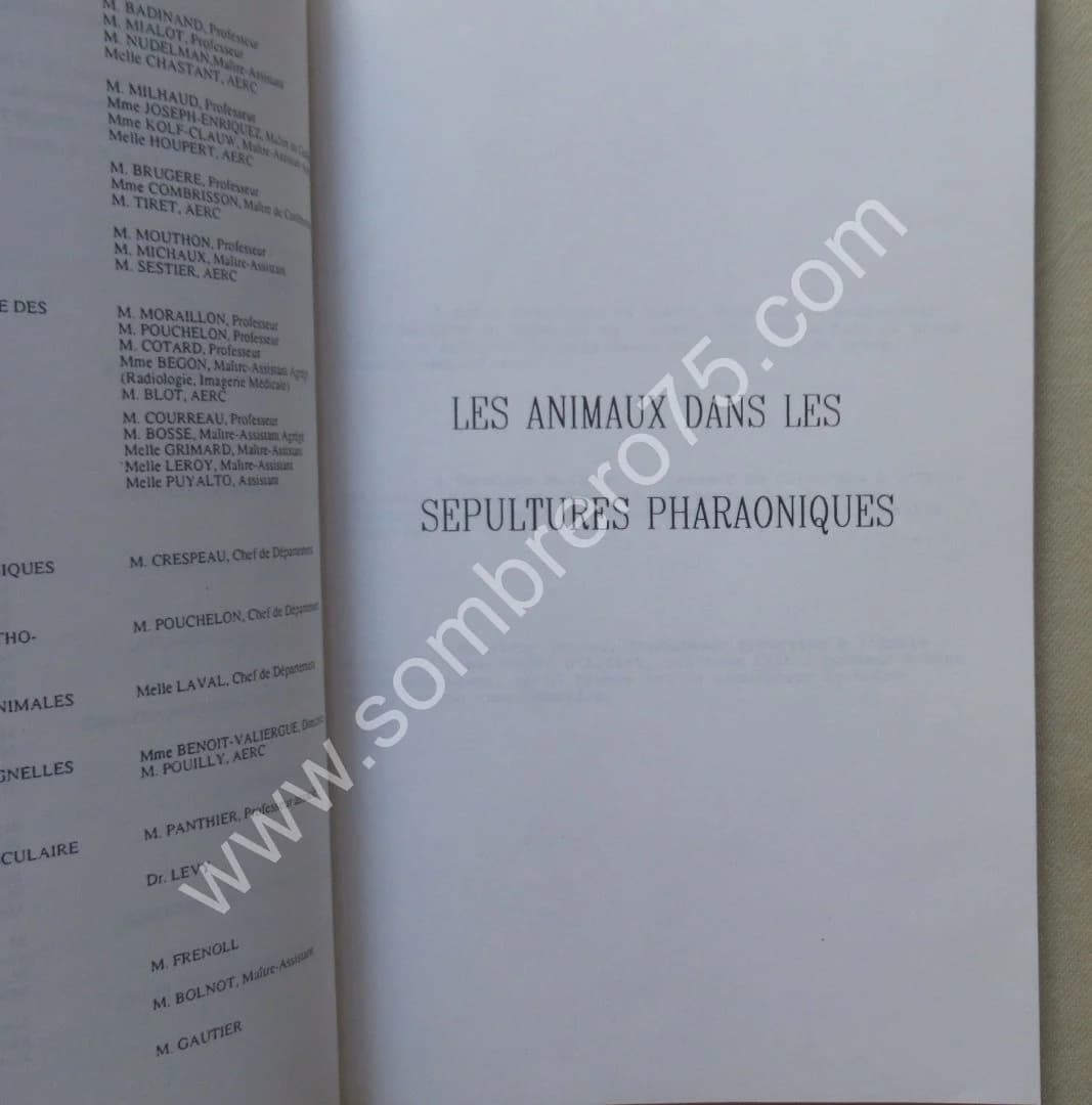 Les Animaux dans les Sépultures Pharaoniques. Thèse - Image 4