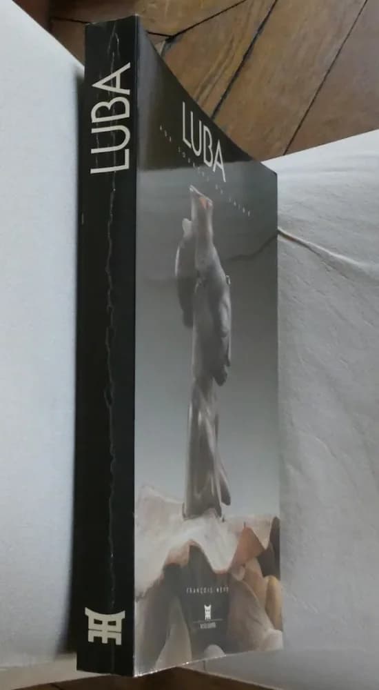 LUBA Aux Sources du Zaïre Musée Dapper - Image 2