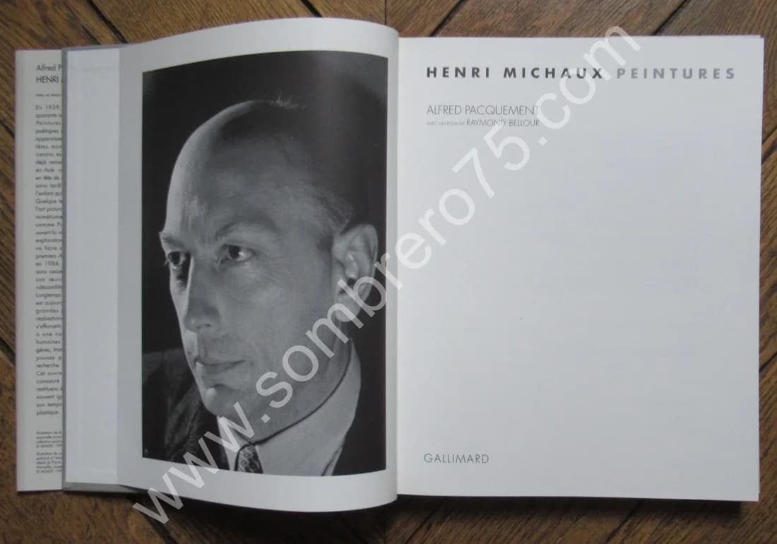 Henri MICHAUX. Peintures - Image 4