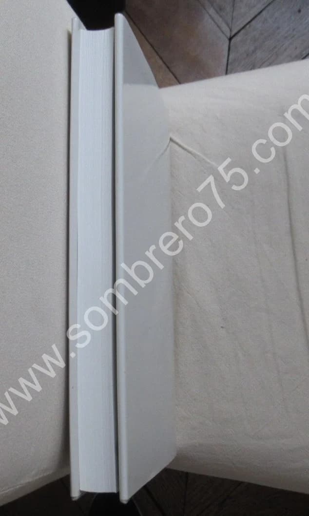 Henri MICHAUX. Peintures - Image 9