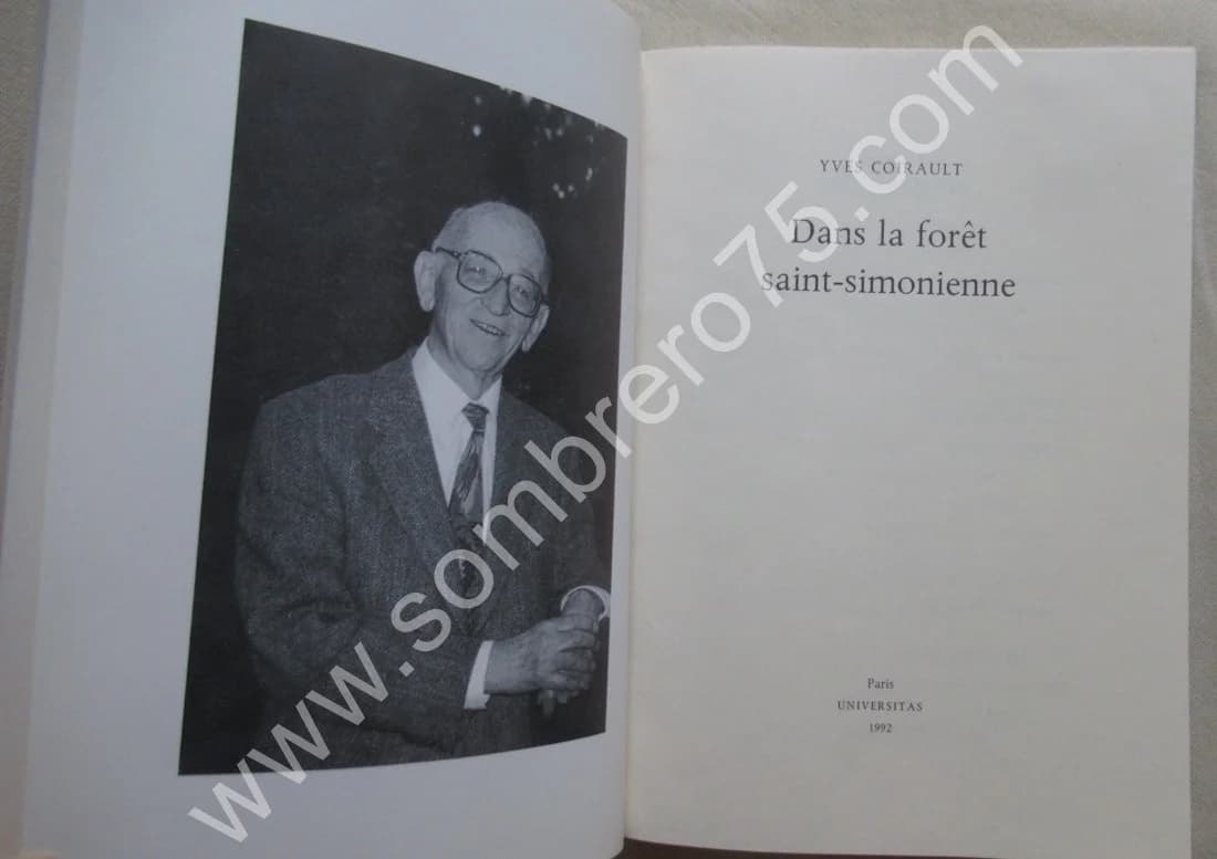 Dans la Forêt Saint-Sionienne. Yves COIRAULT - Image 3