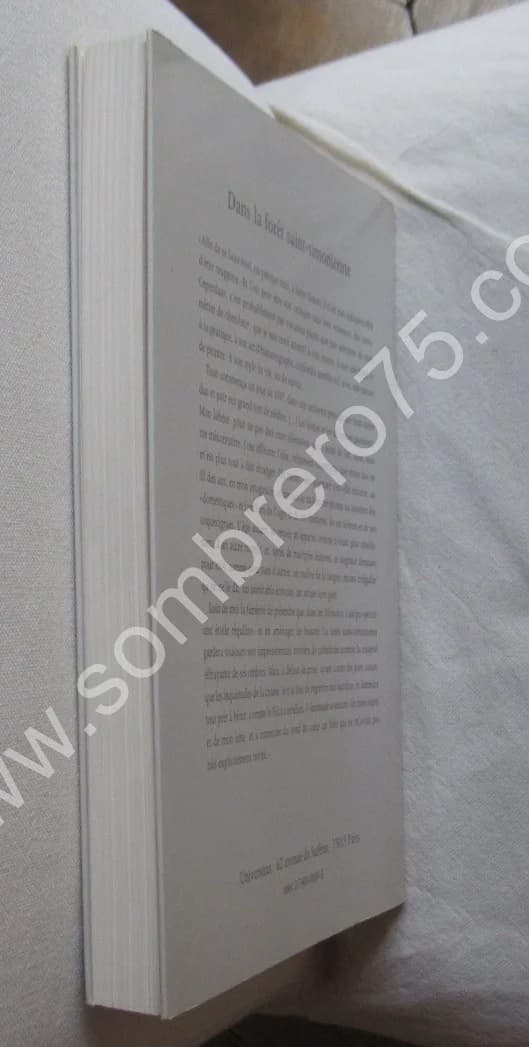 Dans la Forêt Saint-Sionienne. Yves COIRAULT - Image 6