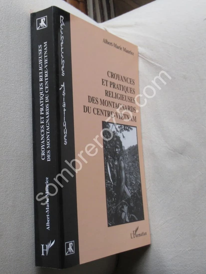 Croyances et Pratiques Religieuses des Montagnards du Centre Vietnam. M. ALBERT - Image 2