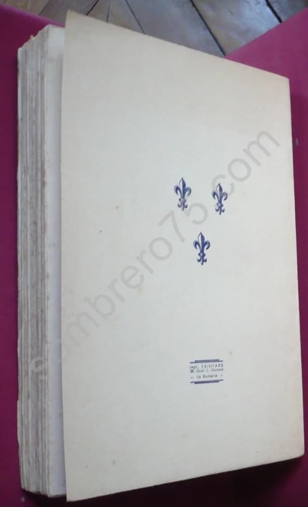 Les Enfants Naturels de Louis XV. Etude Critique, Biographique, Descendance - Image 2