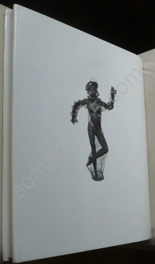 Pose son Regard sur l'Oeuvre d'Issey Miyake. Photographies 1975 1998 - Image 3