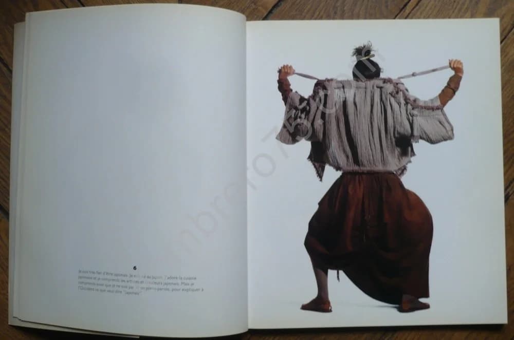 Issey Miyake Photographies 1988 - Image 6