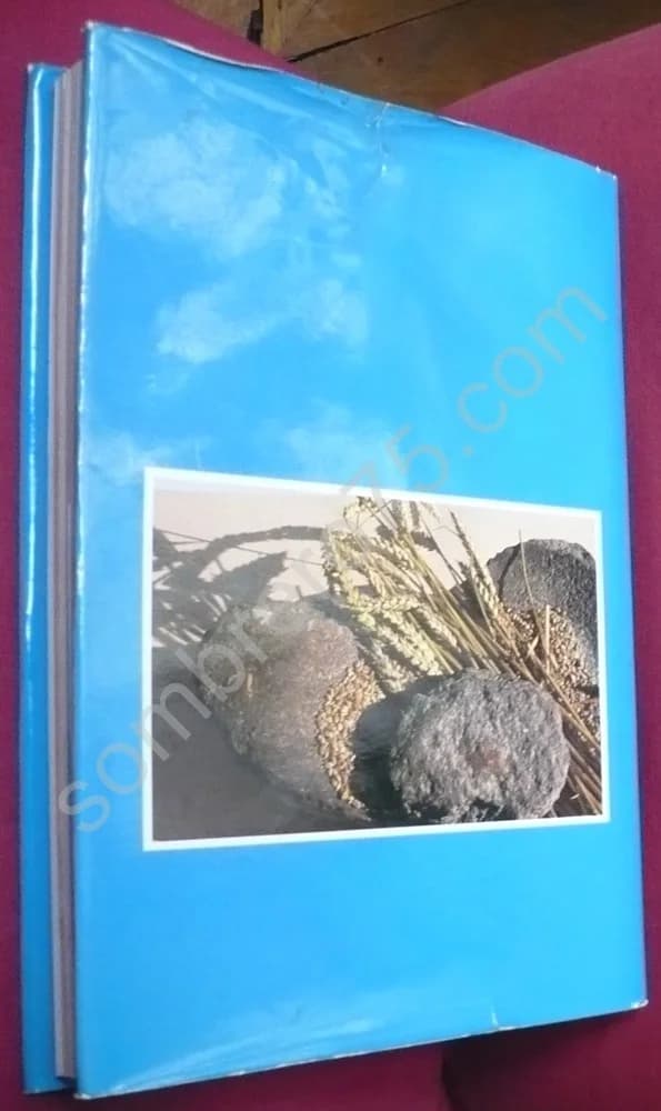 Le Néolithique des Lacs. Préhistoire des Lacs de Chalain et de Clairvaux (4000-2000 Av. J.-C.) - Image 2