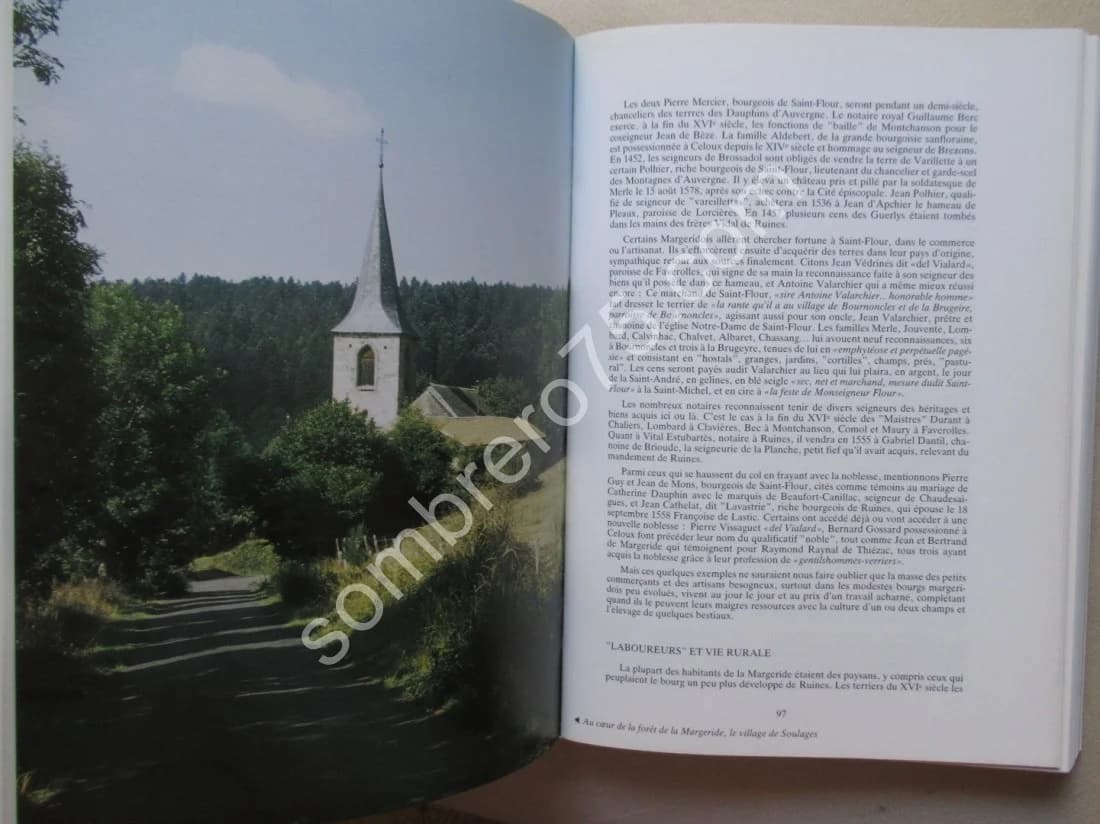 Le Pays de Ruynes en Margeride - Vingt Siècles d'Histoire - Image 4