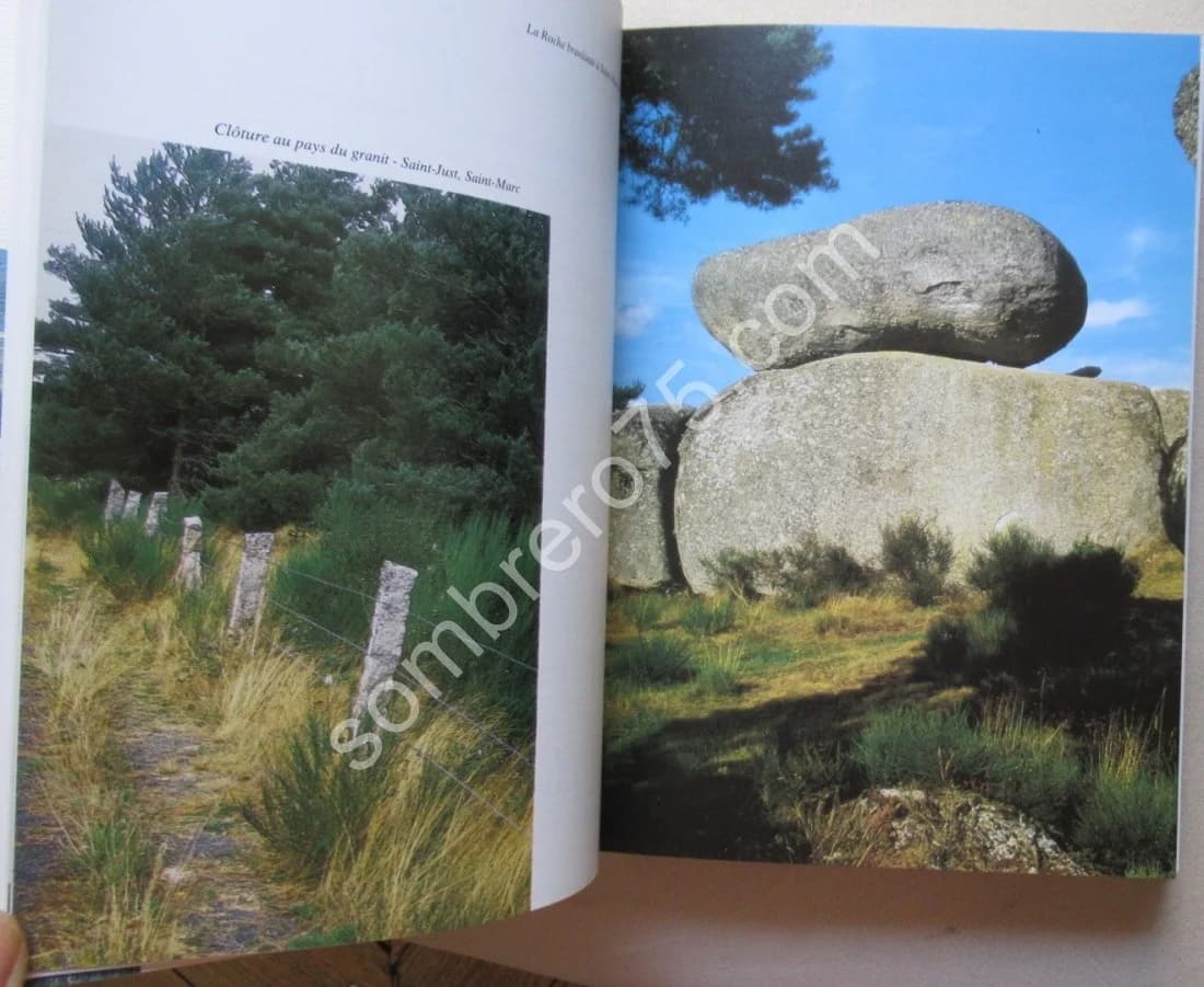 Le Pays de Ruynes en Margeride - Vingt Siècles d'Histoire - Image 6