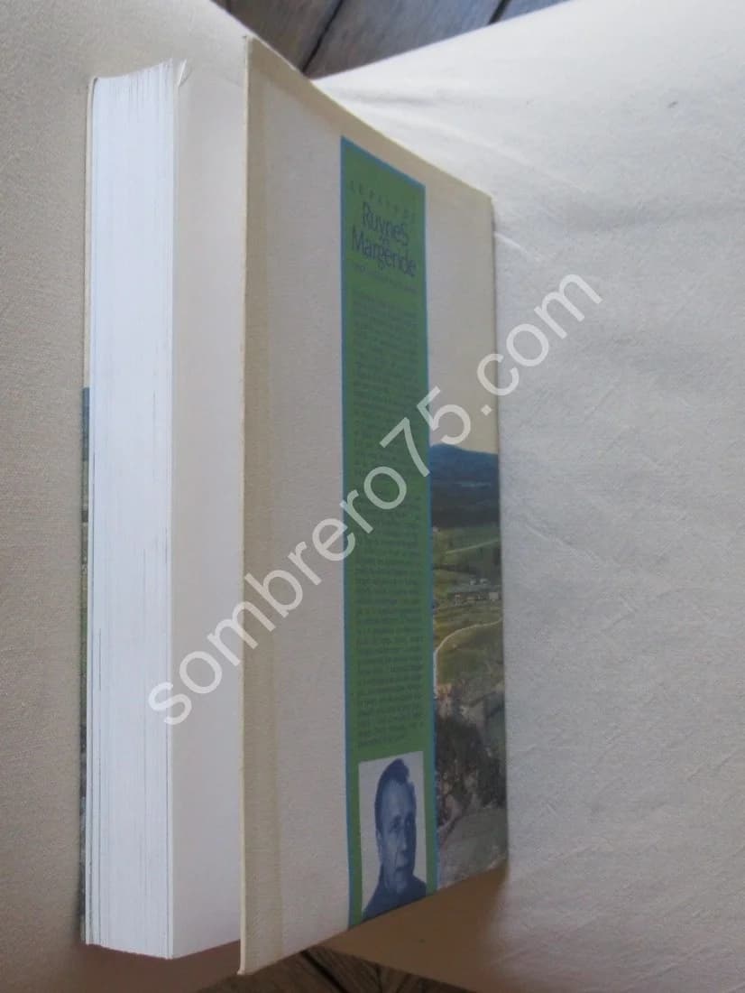 Le Pays de Ruynes en Margeride - Vingt Siècles d'Histoire - Image 8