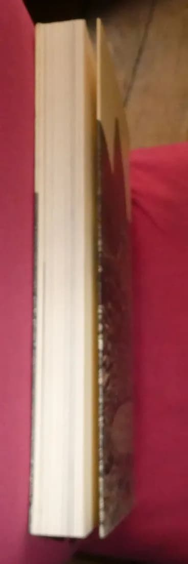 Walking in Circles. Richard LONG - Image 7