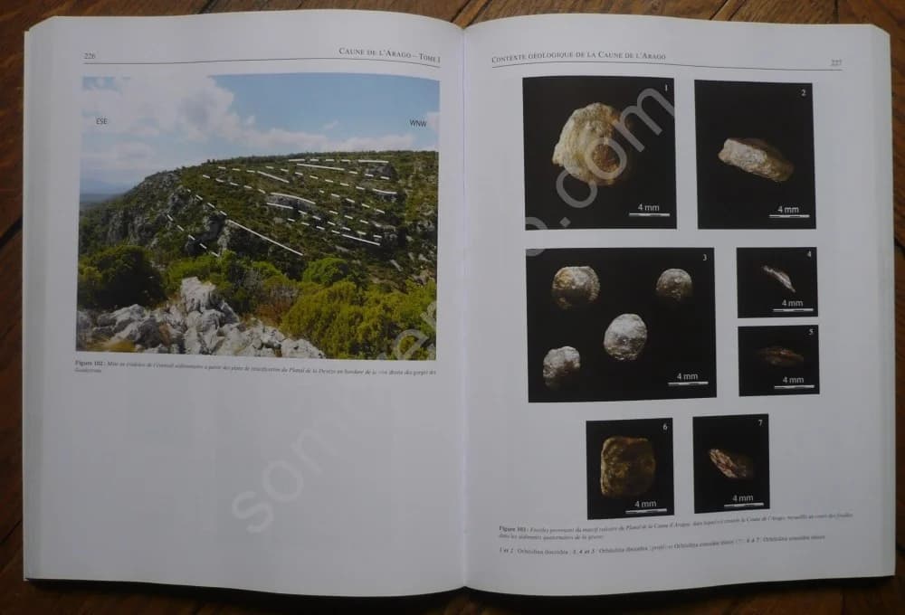 Caune de l'Arago. Tautavel en Roussillon Pyrénées Orientales Tome 1 - Image 5