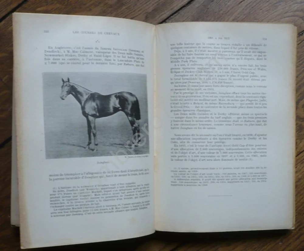 Historique des Courses de Chevaux de l'Antiquité à ce jour. 1914 - Image 5
