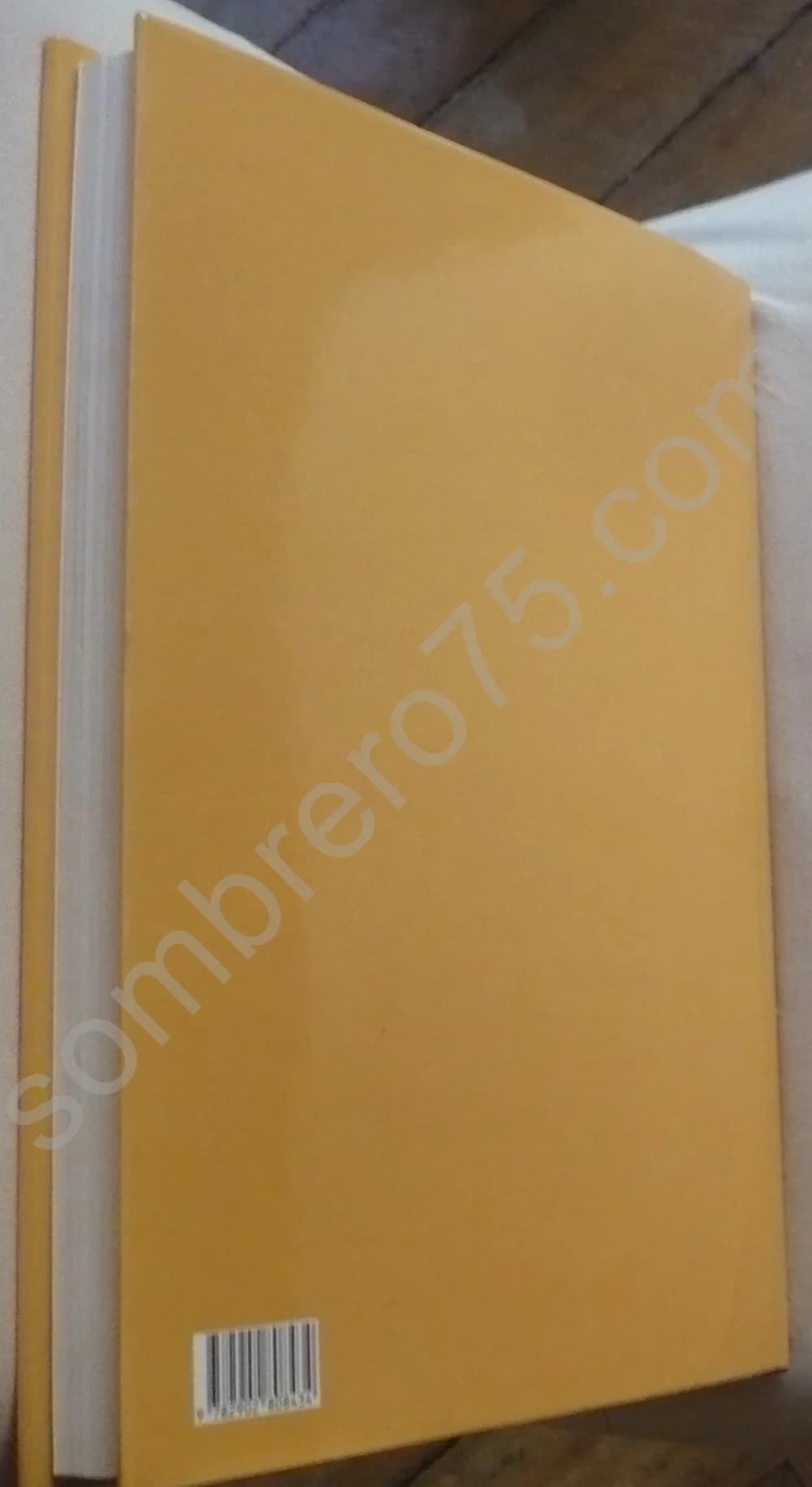 Nouvelle Géographie Ferroviaire de la France. Tome 2 : L'Organisation Régionale du Trafic - Image 3